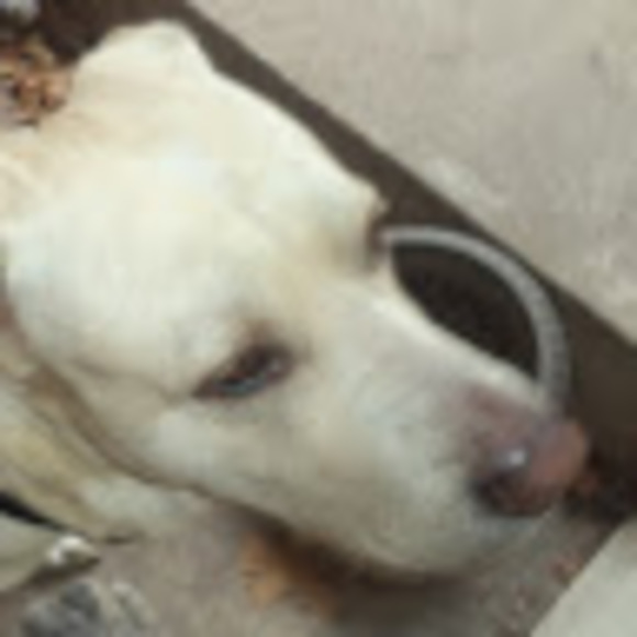 Meet your Posher, Kimberly - Picture 1 of 1